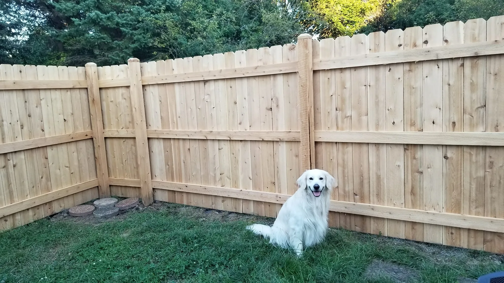Dog Fence Installation in Milwaukee \u0026 Kenosha, WI, image size:2048x1152